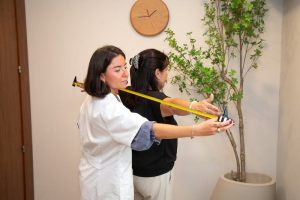 menopausia y nutricion